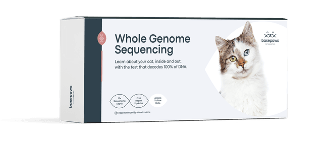 IMG New Packaging Whole Genome Seq for Cats WGS