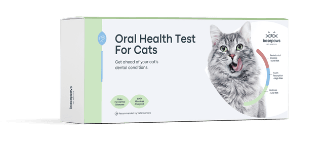 IMG New Packaging Oral Test For Cats