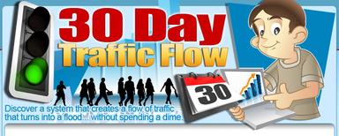 30daytrafficflow.com coupon codes