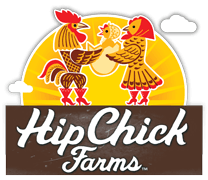 The Hip Chick coupon codes